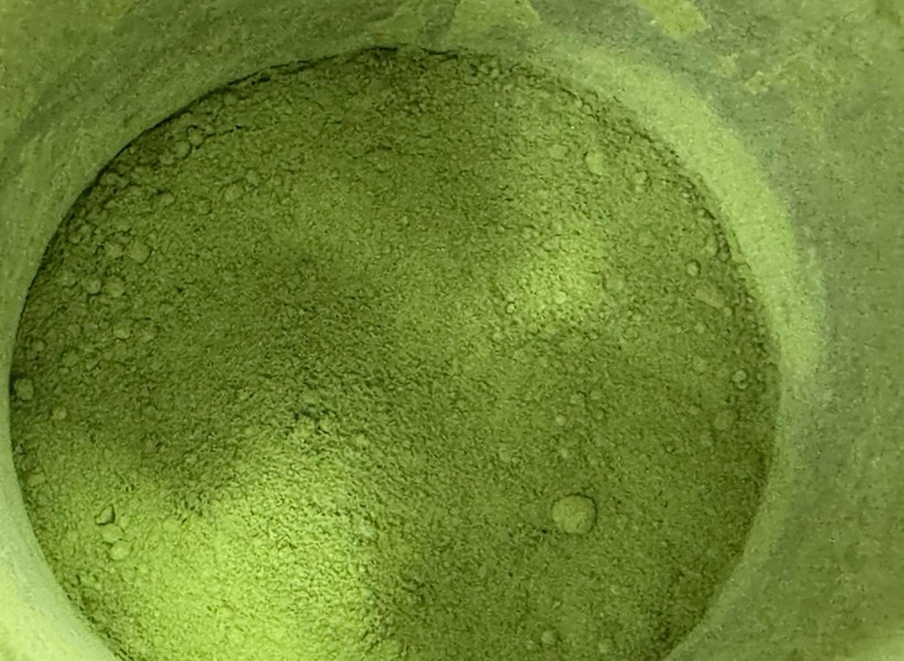 Chúng ta đang uống nhiều matcha đến mức nguồn cung sắp cạn kiệt