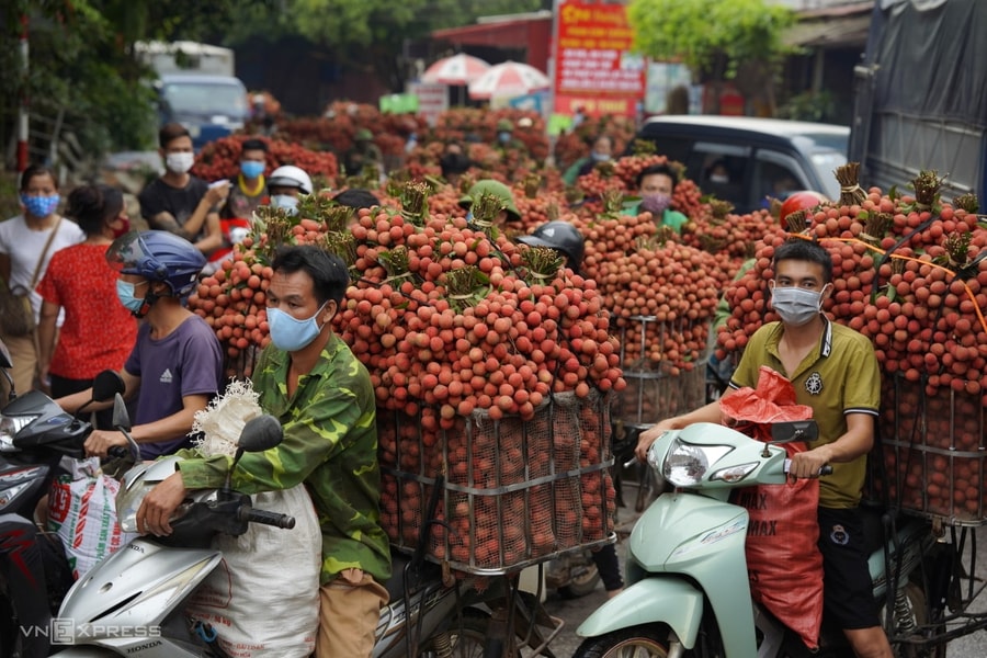 Nhiều quốc gia tăng mua vải thiều Việt Nam