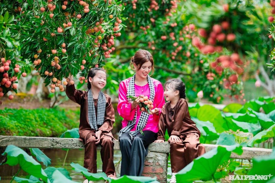 Hai Phong tourism reinvents itself