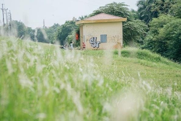 Dấu chân trong cỏ