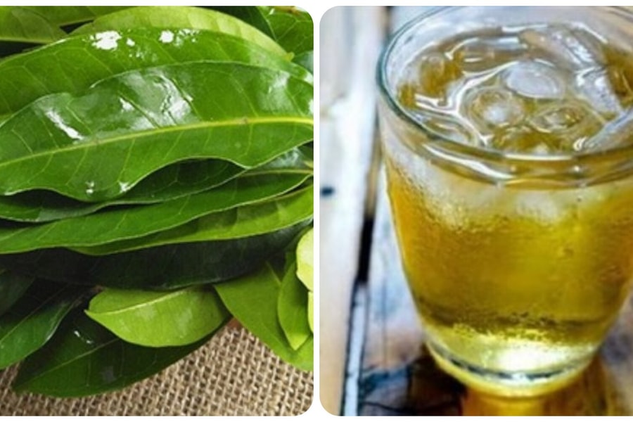 Uống nước vối hàng ngày có tác dụng gì?