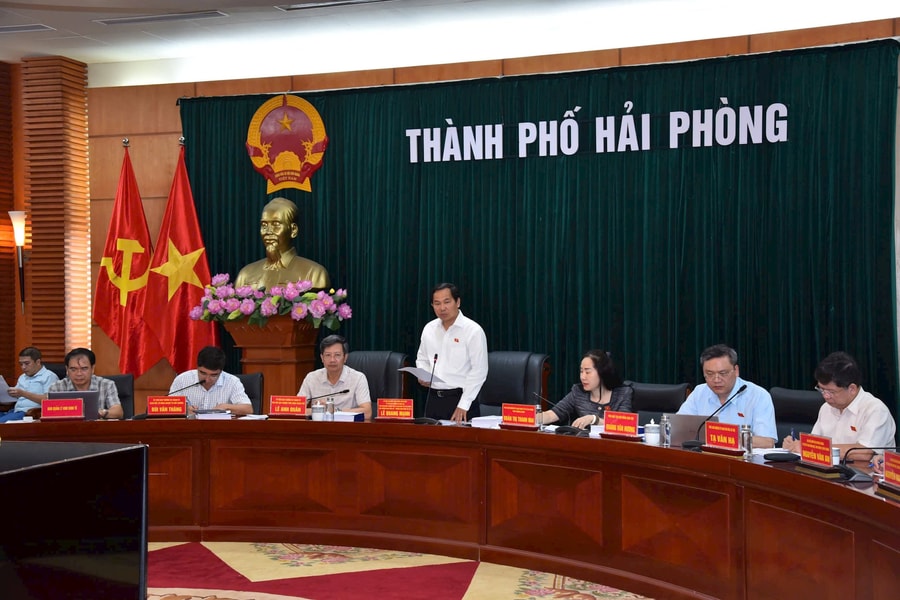 Hai Phong enhances effectiveness of State management in environmental protection