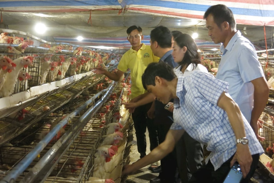 Không để 'khoảng trống' cán bộ nông nghiệp cơ sở