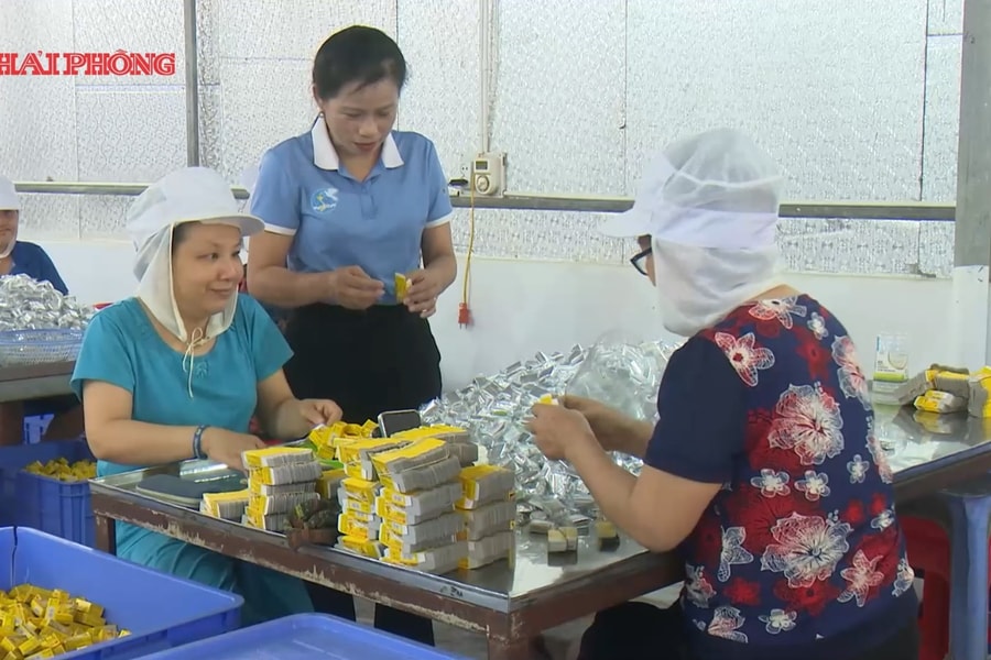 Đổi thay ở vùng quê cách mạng Hợp Tiến