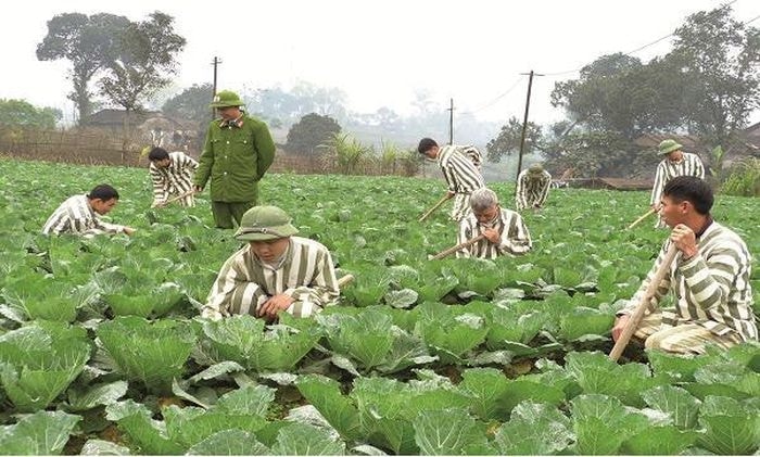 Phạm nhân được hiến mô, một phần bộ phận cơ thể, được lưu trữ trứng, tinh trùng theo quy định pháp luật