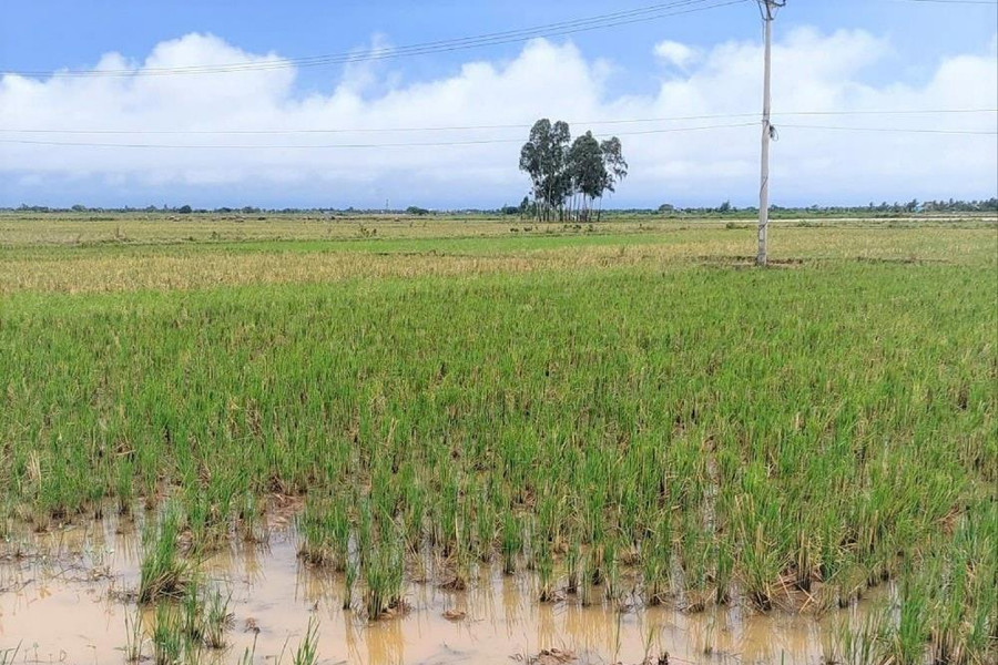 561 hộ nhận tiền bồi thường giải phóng mặt bằng Dự án xây dựng khu công nghiệp Vinh Quang