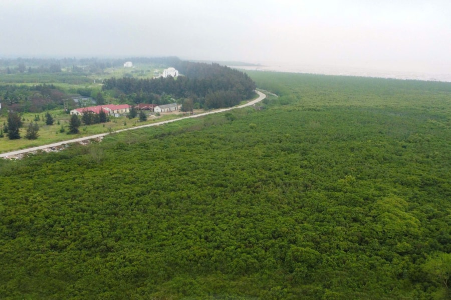 ASEAN vinh danh Hải Phòng là thành phố tiềm năng về môi trường