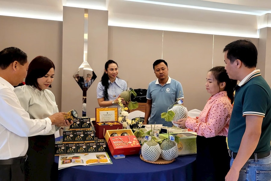 Hai Phong enhances intellectual property rights for exports