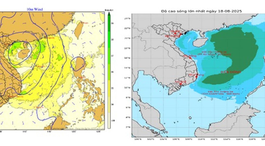 Hai Phong People’s Committee directs response to tropical depression