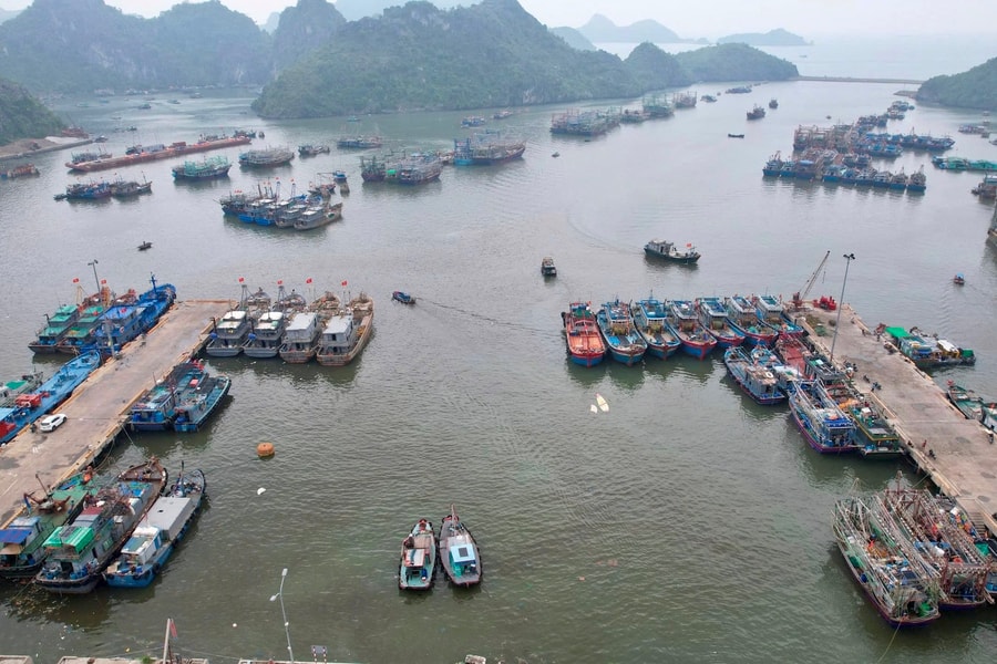 Đặc khu Cát Hải dừng hoạt động trên biển để phòng chống áp thấp nhiệt đới