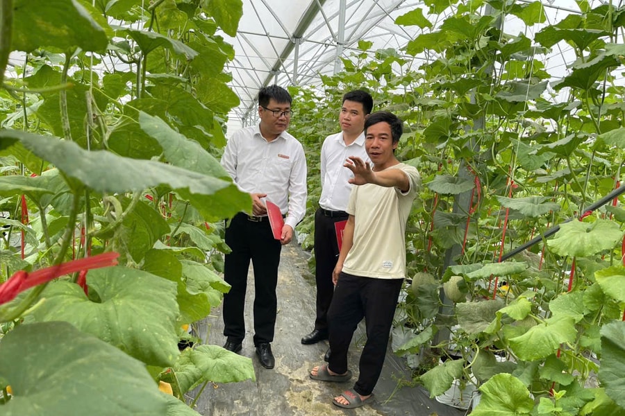 Khơi thông nguồn tín dụng xanh ở Hải Phòng