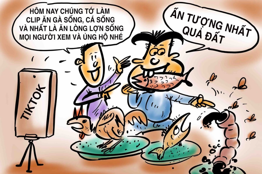 Khi 'câu view' thành trò lố