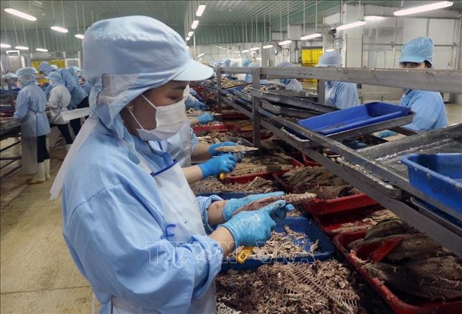Tăng trưởng kinh tế của Việt Nam vẫn vững vàng
