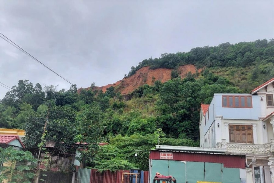 Hải Phòng triển khai 5 dự án trồng rừng