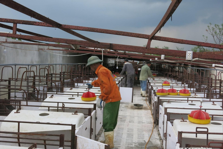 Nâng cao kỹ năng phòng, chống thiên tai trong cộng đồng