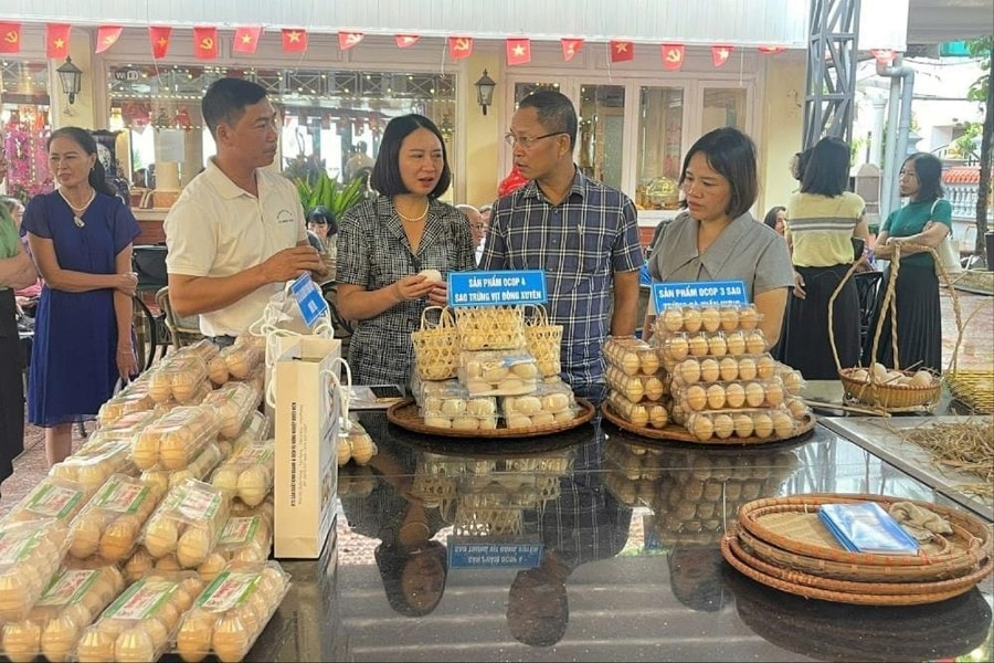 Kết nối tiêu thụ trứng gia cầm trên địa bàn thành phố Hải Phòng