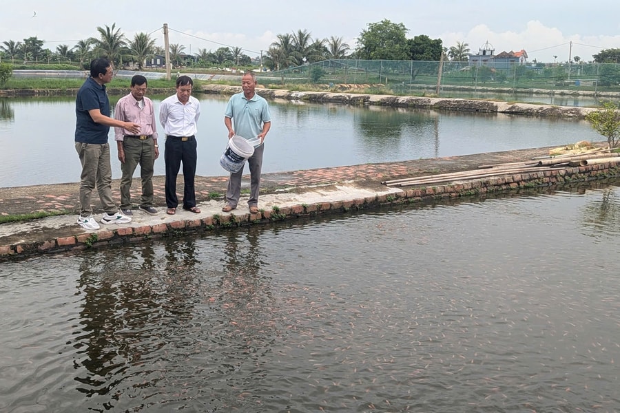 Đào tạo nghề nuôi cá giống tại làng nghề Hội Am cho 50 học viên