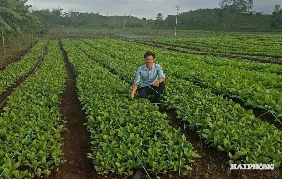 Xuất khẩu rau quả trong 9 tháng năm 2025 đạt hơn 6 tỷ USD