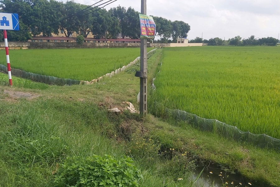 Cẩn trọng điện giật khi bơm nước trên đồng