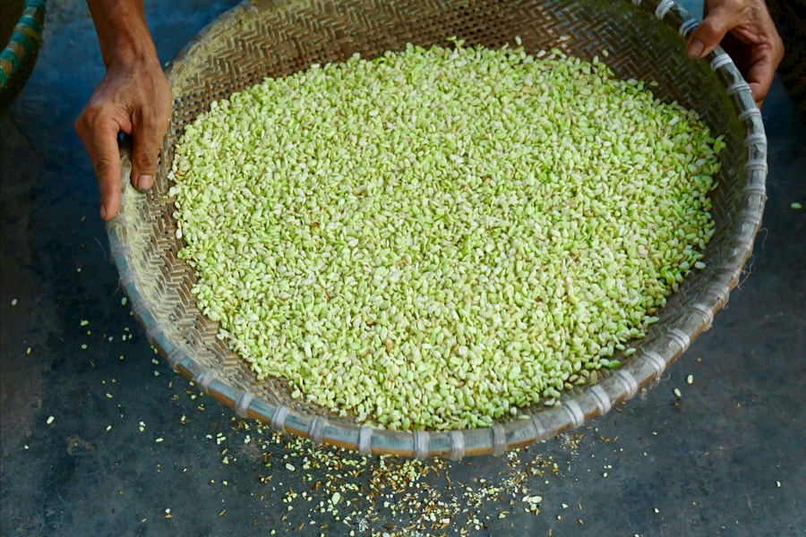 Gói trọn mùa thu trong hương cốm làng Thạc