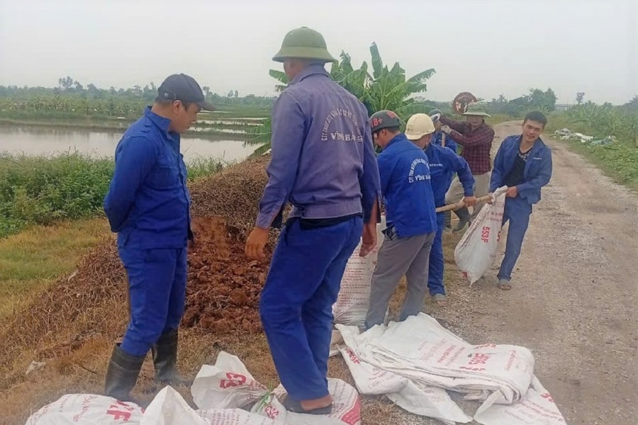 Hải Phòng xây dựng 4 kịch bản ứng phó với bão Ragasa