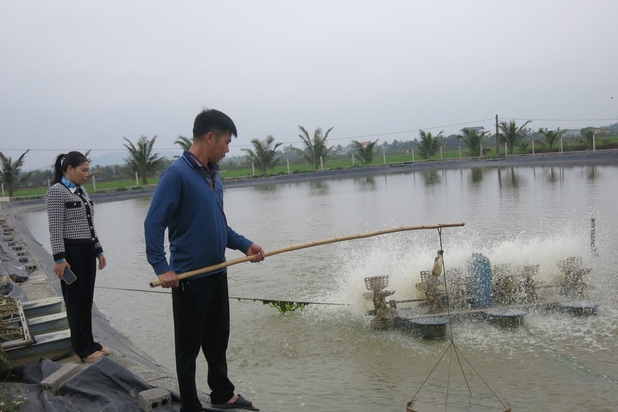 Nâng quy mô cho vay Chương trình tín dụng cho nông, lâm, thủy sản