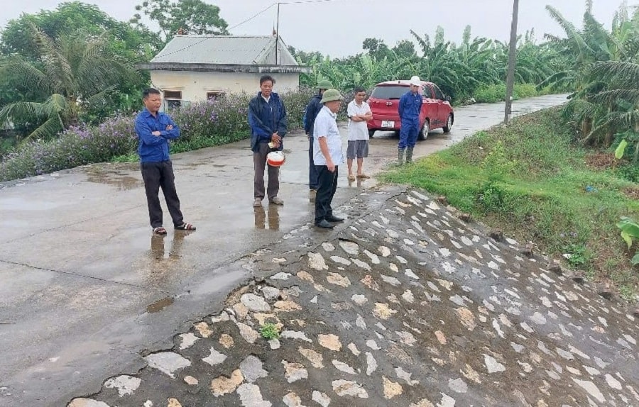 Hai Phong dykes, irrigation works and agricultural production remain safe