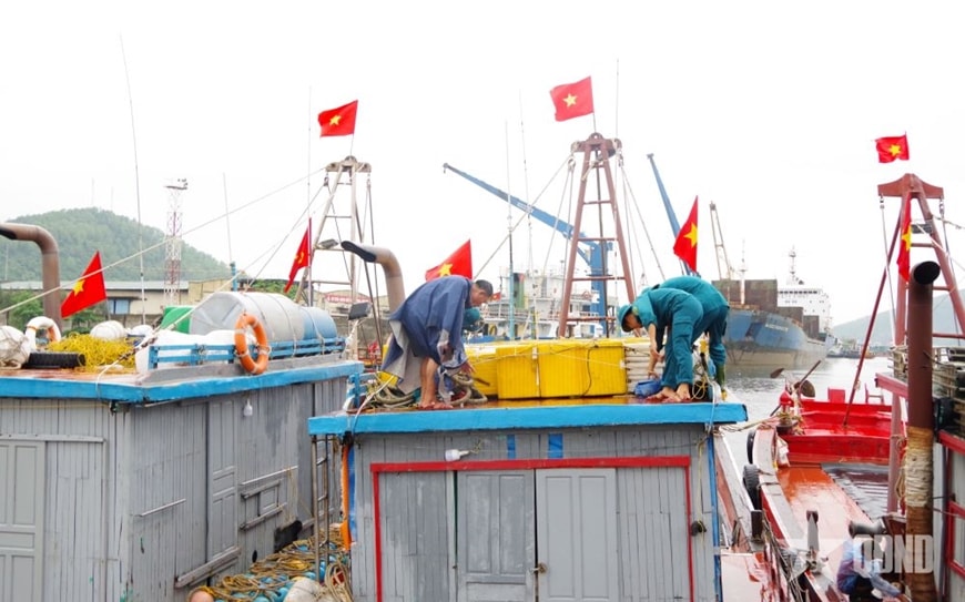 Thủ tướng Chính phủ yêu cầu chủ động ứng phó ở mức cao nhất với bão Bualoi
