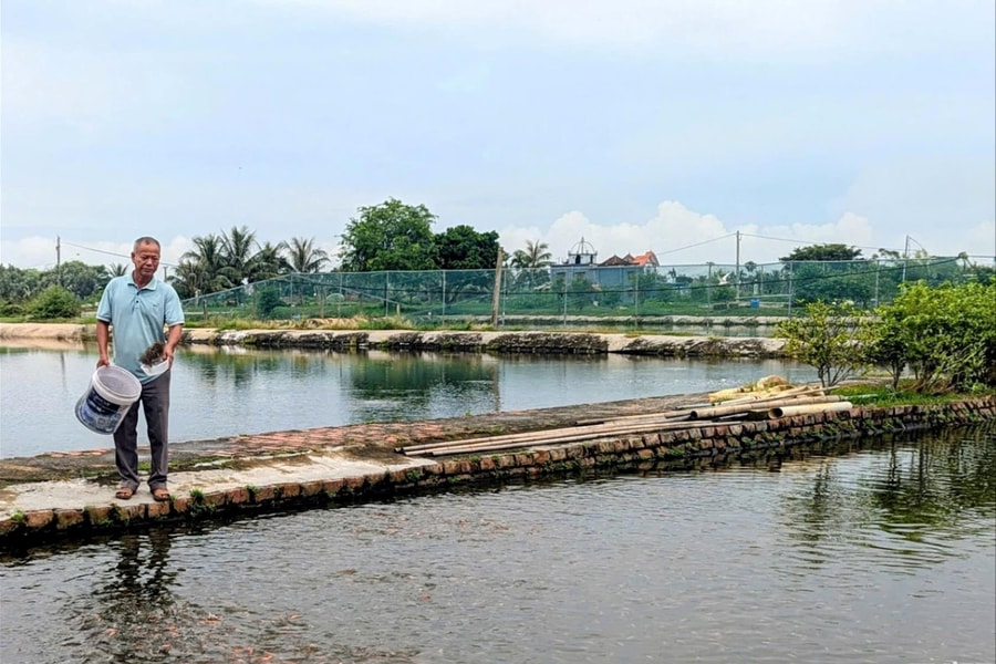 Đưa làng nghề ương cá giống Hội Am vươn xa