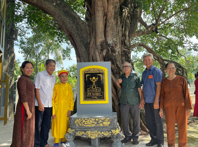 Chung tay bảo vệ cây di sản