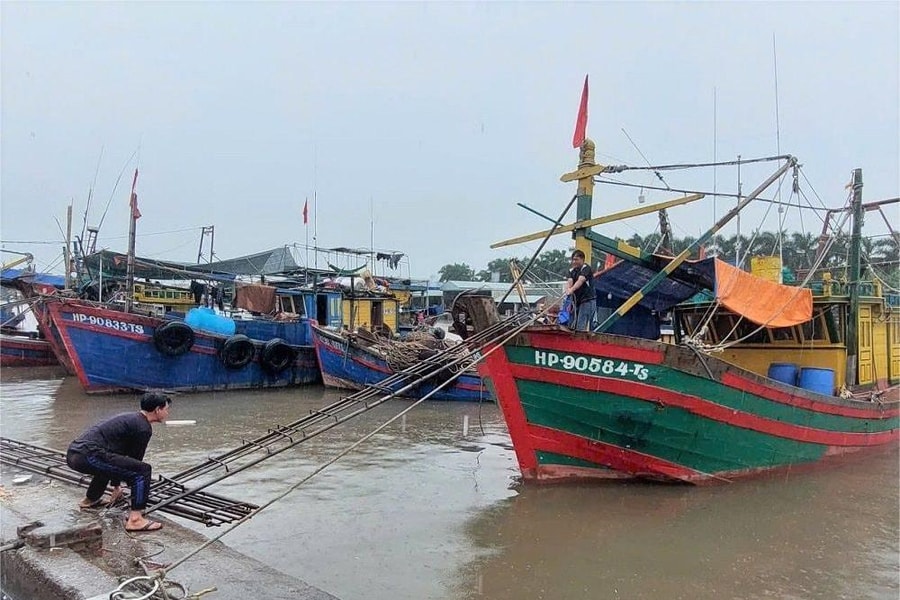 Hải Phòng kiểm đếm, thông báo kịp thời tới 1.603 tàu thuyền về neo đậu phòng, tránh bão số 11