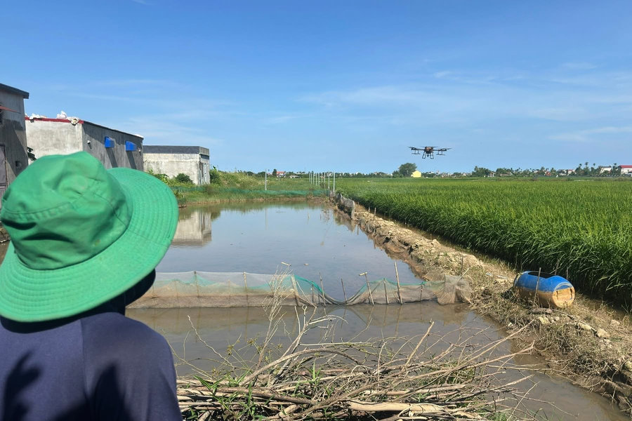 Hải Phòng thi hành Luật Công nghiệp công nghệ số