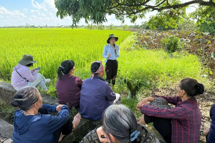 Chính quyền cấp xã cần chú trọng công tác khuyến nông