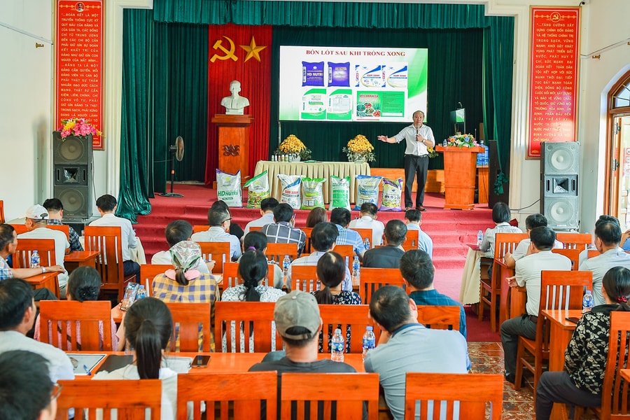 Xây dựng quy trình sản xuất hành củ an toàn ở xã Nam An Phụ