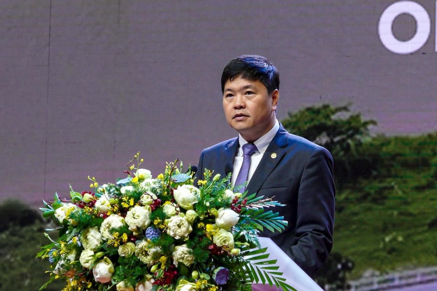 Hai Phong aims for green, sustainable logistics development