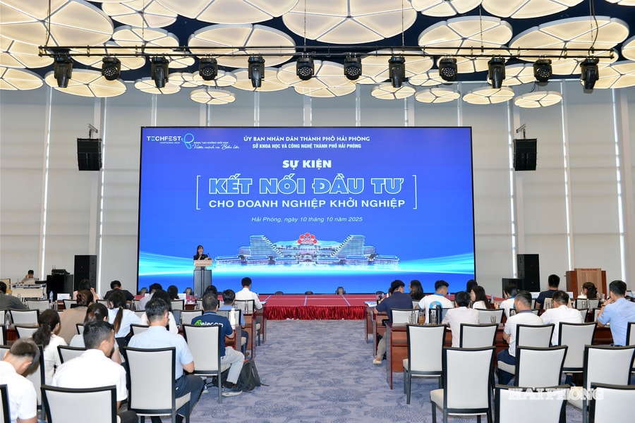 Quy định về Quỹ đầu tư mạo hiểm quốc gia và quỹ đầu tư mạo hiểm của địa phương