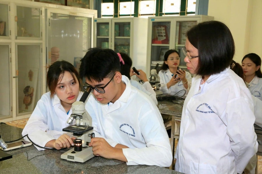 Vận dụng linh hoạt chính sách thu hút giảng viên trình độ cao