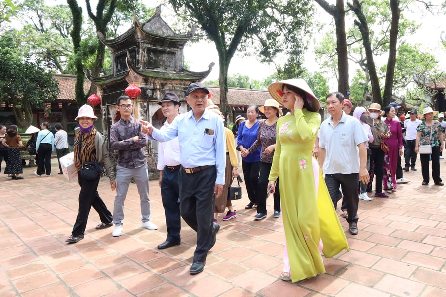Những bông hồng 'đa-zi-năng'