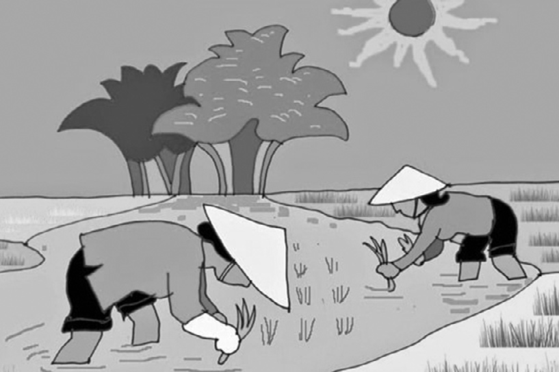 Mẹ em đi cấy