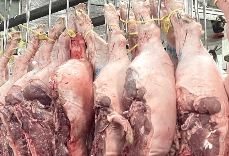 Trà trộn thịt lợn nhiễm dịch tả châu Phi để bán ra thị trường