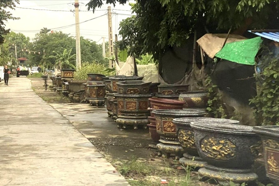 Lấn chiếm đường làng bày bán chậu cảnh