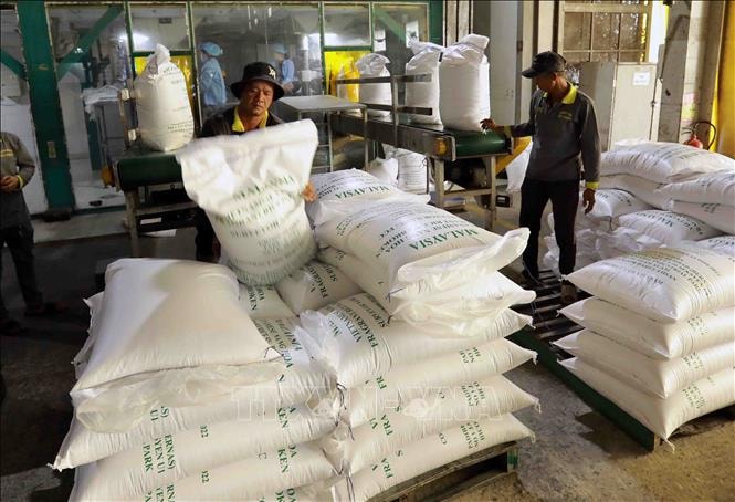 Việt Nam xuất khẩu được hơn 7 triệu tấn gạo trong năm 2025