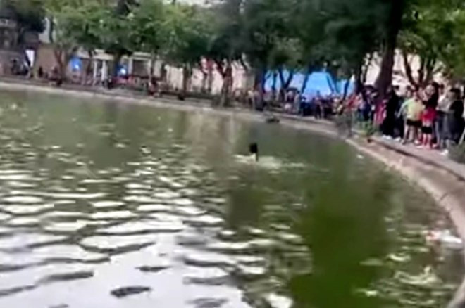 Làm rõ thông tin người phụ nữ bị đuối nước tại hồ Hoàn Kiếm