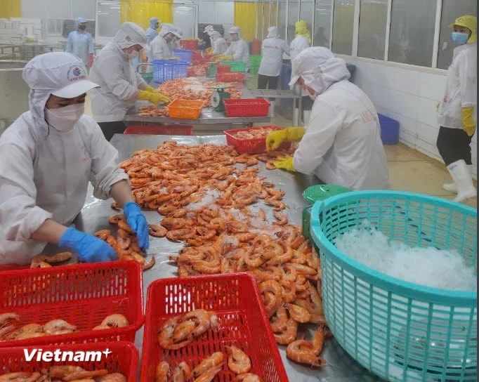 Kinh tế Việt Nam tăng trưởng nhanh nhất ASEAN