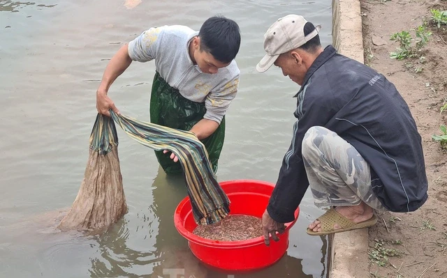 Những đơn vị tiêu biểu phát triển kinh tế tập thể của Hải Phòng
