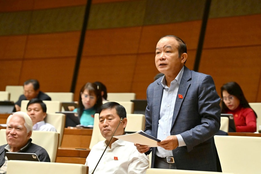 Đại biểu Quốc hội Hải Phòng hiến kế phát triển kinh tế tư nhân, bảo vệ môi trường, chống thiên tai