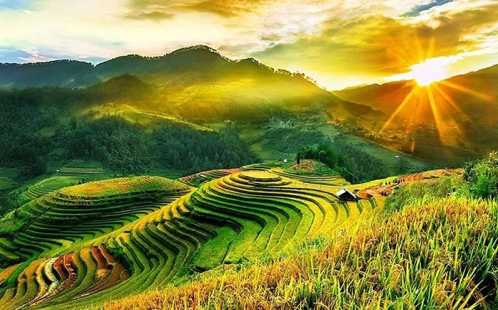 Ruộng bậc thang