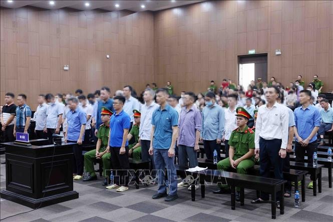 17 bị cáo trong vụ Tập đoàn Thuận An kháng cáo xin giảm nhẹ hình phạt