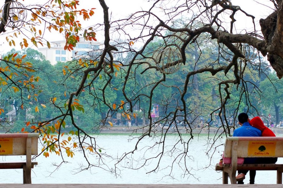 Yêu ngày chớm đông