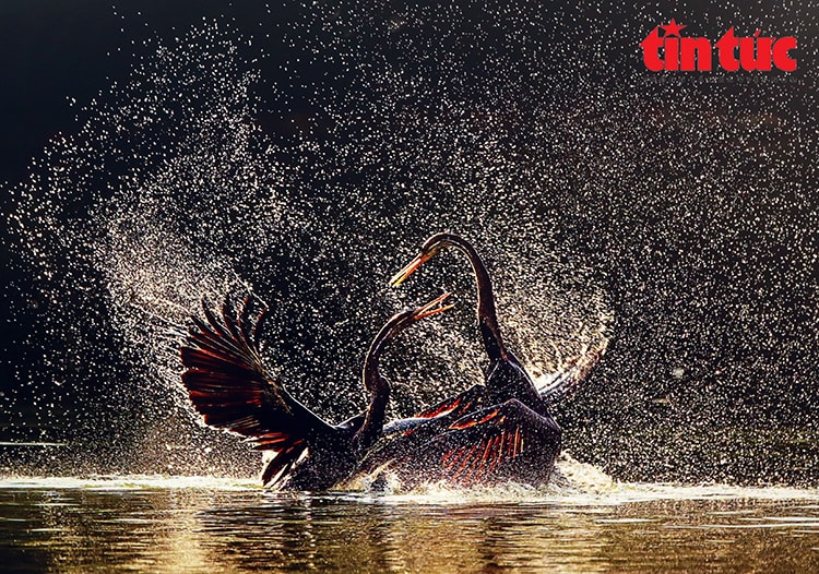 ‘Vũ điệu từ thiên nhiên’ lan tỏa tình yêu đa dạng sinh học Việt Nam